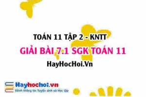 Bài 7.1 SGK Toán 11 Tập 2 Kết nối tri thức